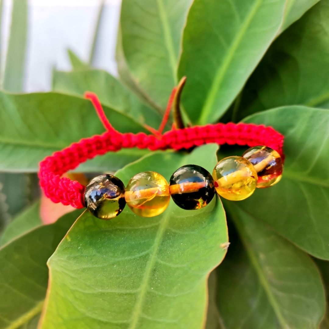 Pulsera de Ámbar de Chiapas Adaptación